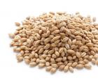 About the benefits of porridge. Porridge for breakfast. How are cereals good for health? The benefits and harms of pearl barley